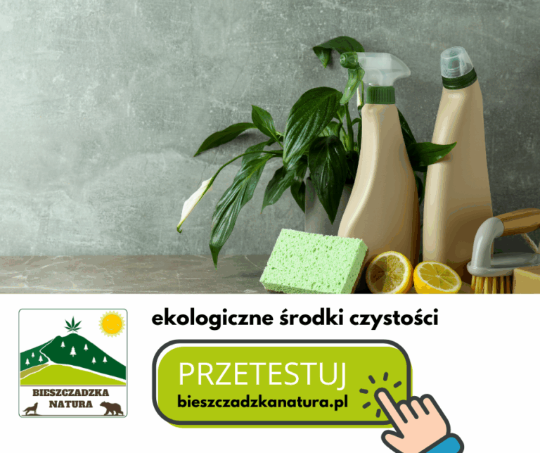 warto przejść na ekologiczne środki czystości