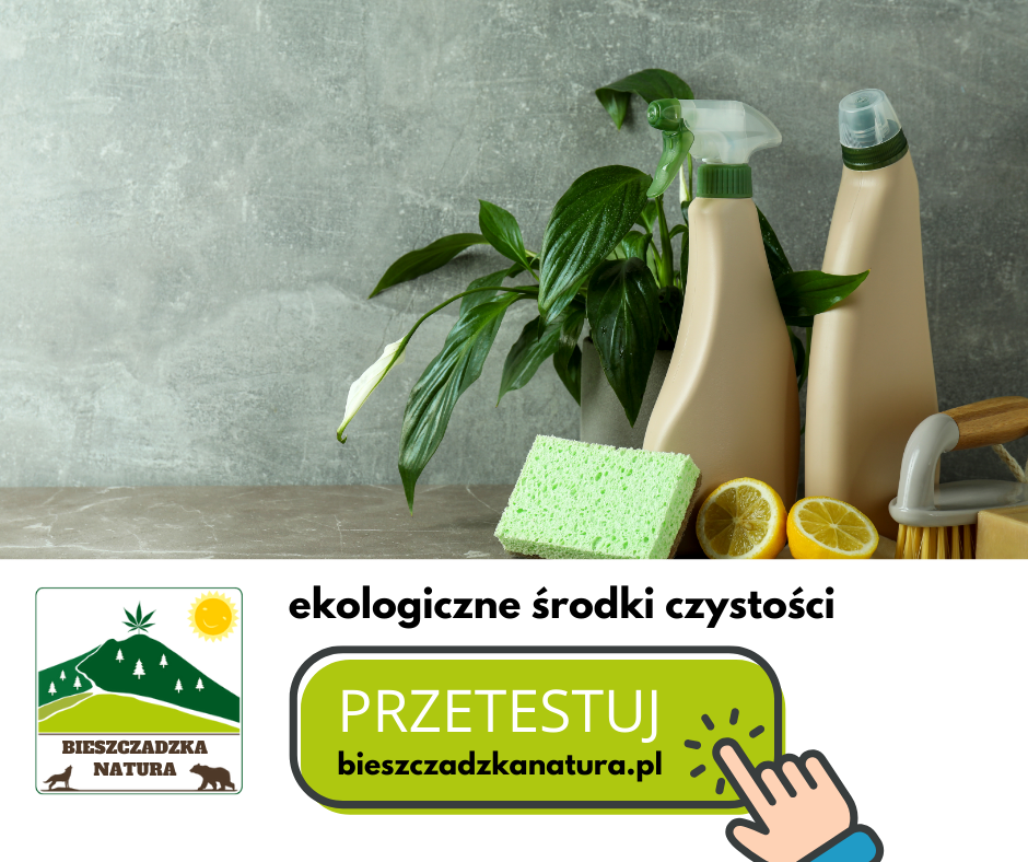 warto przejść na ekologiczne środki czystości