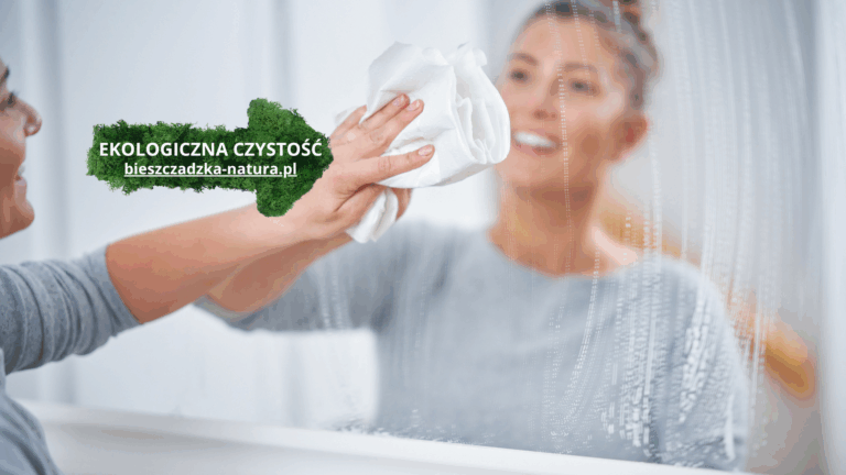 Co Wybrać do Mycia Szyb