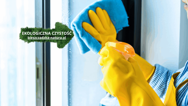 Domowe Płyny do Szyb