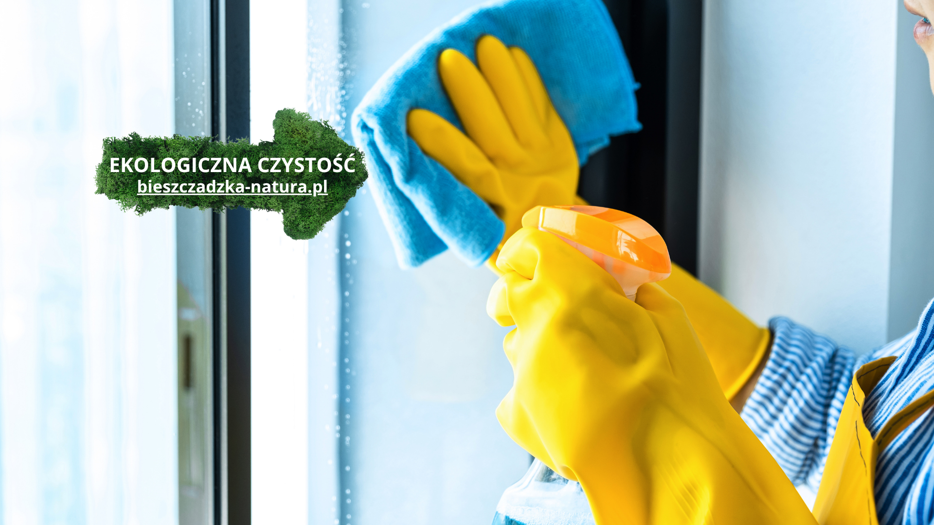 Domowe Płyny do Szyb