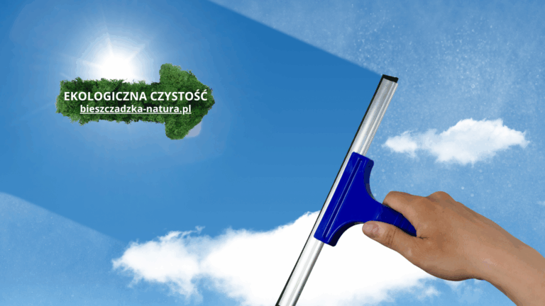 ekologicznye środki do szyb