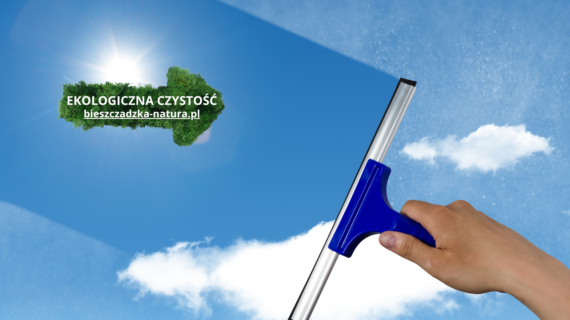 ekologicznye środki do szyb